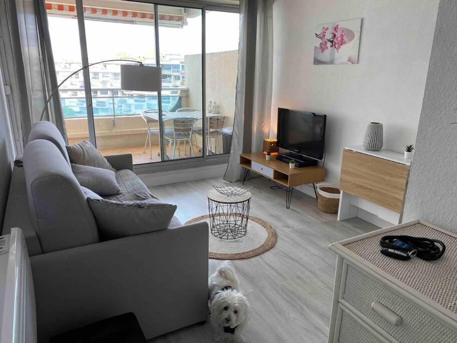 Joli Studio Vue Mer Et Port 모기오 외부 사진